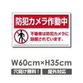 W600xH350mm カメラ録画中 監視カメラ作動中 パネル看板 camera-224 1