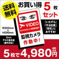 5枚セット 視線でドキ!W200xH290mm 防犯『監視カメラ作動中』 camera-5set 1