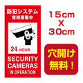 アルミ複合板　プレート看板 看板 標識 15*30cm camera-13 1