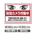 防犯カメラ作動中 パネル看板 プレート看板 W400xH300mm camera-310 1