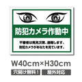 防犯カメラ作動中 パネル看板 プレート看板 W400xH300mm camera-312 1