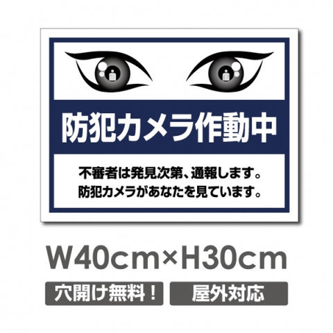 防犯カメラ作動中 パネル看板 プレート看板 W400xH300mm camera-313