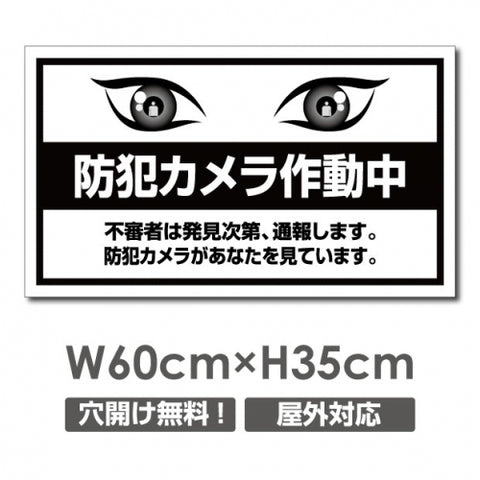 防犯カメラ作動中 パネル看板 プレート看板 W600xH350mm camera-349