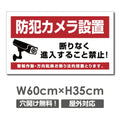 防犯カメラ設置 パネル看板 プレート看板 W600xH350mm camera-356 1