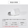 LEDランプ式京行灯 屋外用 Mサイズ H505mm 行燈 和風電飾看板 andon-h505-100v 5
