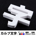 カルプ文字 立体文字 漢字 縦25cm×厚さ3cm 浮き文字 屋外対応 切文字 サイン看板 karupu-b250 1