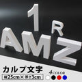 カルプ文字 一文字 浮き文字 立体文字 英数字 縦25cm×厚さ3cm 店舗看板 会社名 飲食店 サイン文字 屋外対応 Karupu-a250 1