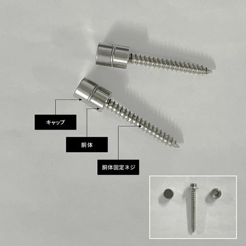 gs-nmpl-1022専用 化粧ビス 2個セット ステンレス製 交換用パーツ s0004-sus