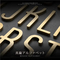 真鍮 ゴールド 75mm 大文字 t5mm 1文字ずつの販売 数字0-9 （A~Z）真鍮鋳物 DIY gspl-16 2