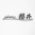 表札 ステンレス 戸建て 玄関 漢字+ローマ字 おしゃれ オシャレ アイアン 戸建 一軒家 新築祝い sh-s0012 1