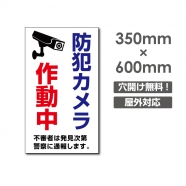 W350xH600mm 監視カメラ録画中 パネル看板 プレート看板  camera-226