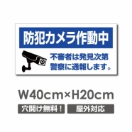 W400xH200mm 防犯カメラ作動中 パネル看板 プレート看板  camera-317