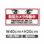 W400xH200mm 防犯カメラ作動中 パネル看板 プレート看板  camera-320