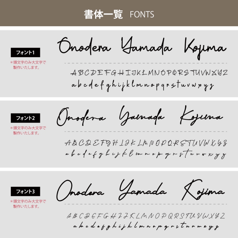 ステンレス アイアン マンション 門柱 シール 貼り付け 番地プレート 番地 筆記体 手書き風 gs-nmpl-1009