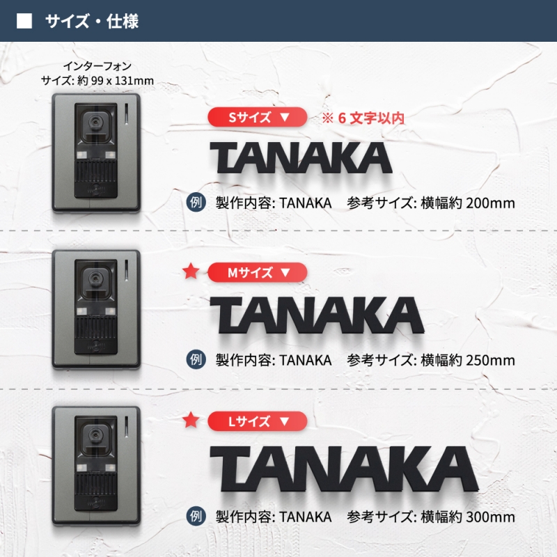 ステンレス ローマ字 戸建 アルファベット 切り文字 gs-nmpl-1005