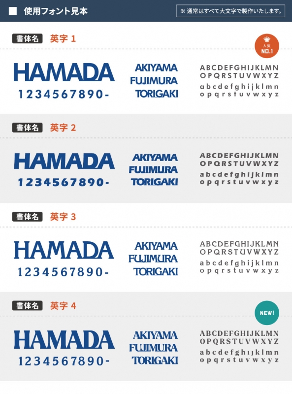 ステンレス ローマ字 戸建 アルファベット 切り文字 gs-nmpl-1005