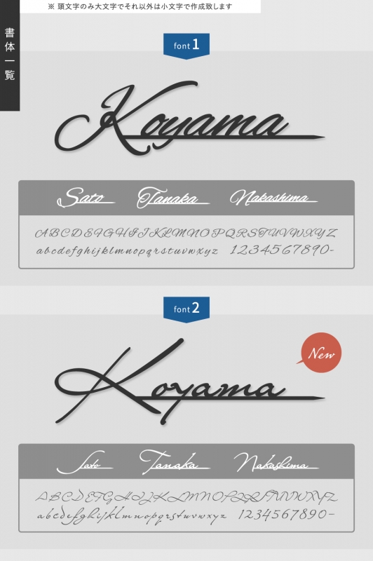 表札 3mm厚 玄関 北欧 ステンレス アイアン風 切り文字 ローマ字 手書き風 玄関 ドア gs-nmpl-1025